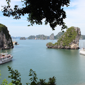 Hanoi to Halong Bay private car- Hanoi Locals
