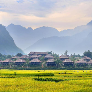 Hanoi to Mai Chau Private Car- Hanoi Locals