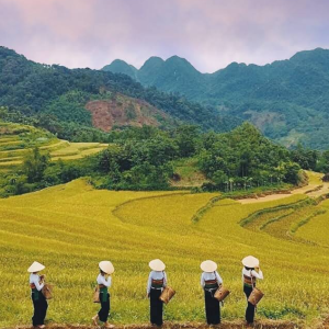 Hanoi to Mai Chau Private Car- Hanoi Locals