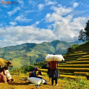 Vietnam Mu Cang Chai - Hanoi Locals