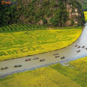 Ninh Binh Tam Coc Tour - Hanoi Locals