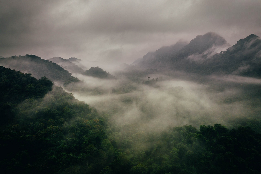 Cuc Phuong National Park - Treasures of Ninh Binh - Hanoi Locals