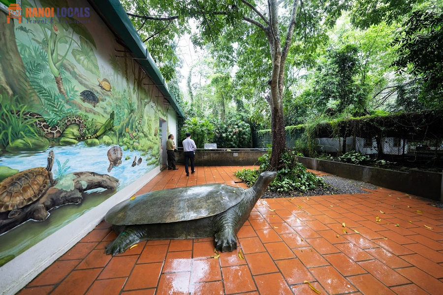 Turtle Conservation Center - Cuc Phuong National Park - Hanoi Locals