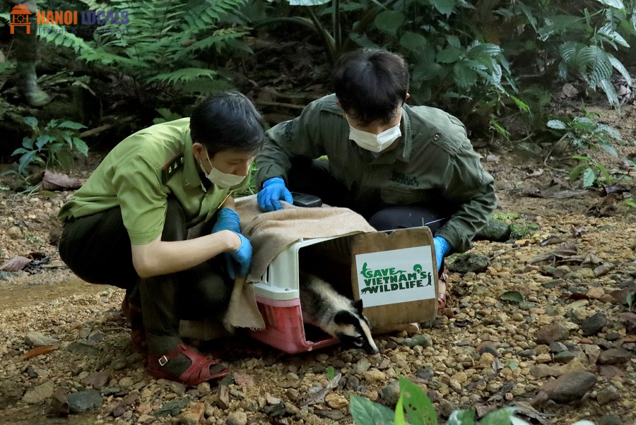 Cuc Phuong National Park - Hanoi Locals