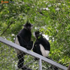 Cuc Phuong National Park - Treasures of Ninh Binh - Hanoi Locals
