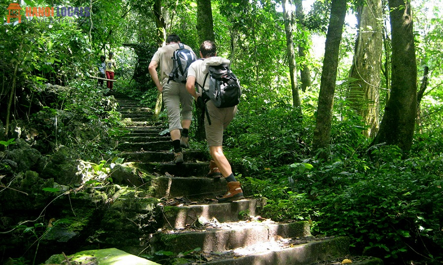 Cuc Phuong National Park - Hanoi Locals