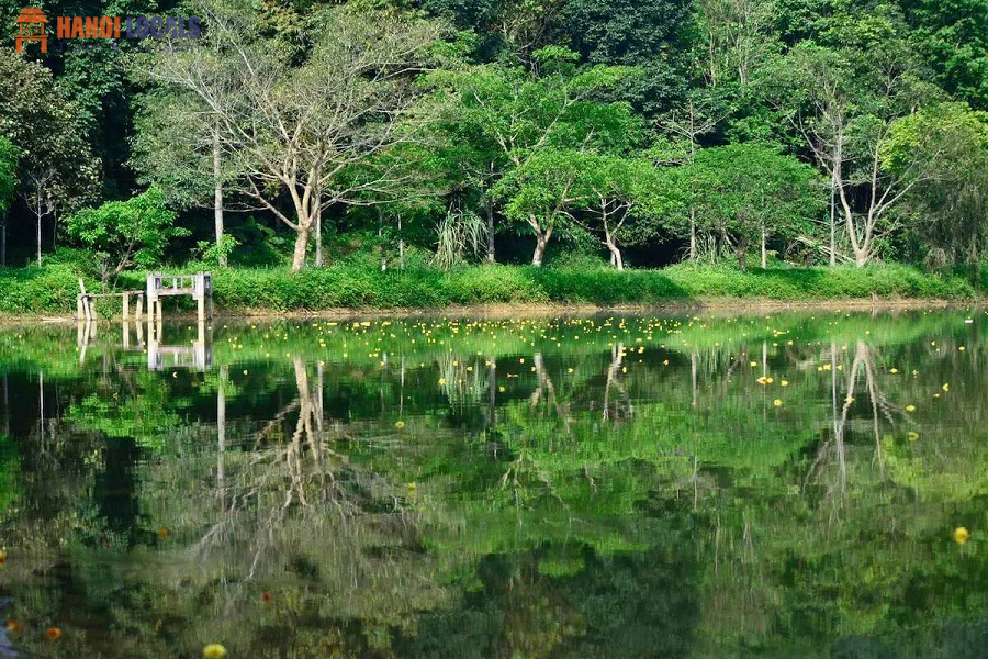 Yen Quang Lake - Cuc Phuong National Park - Hanoi Locals