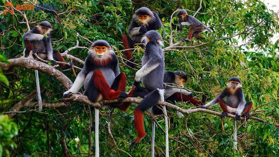 Tam Coc-Bich Dong In Ninh Binh - Hanoi Locals