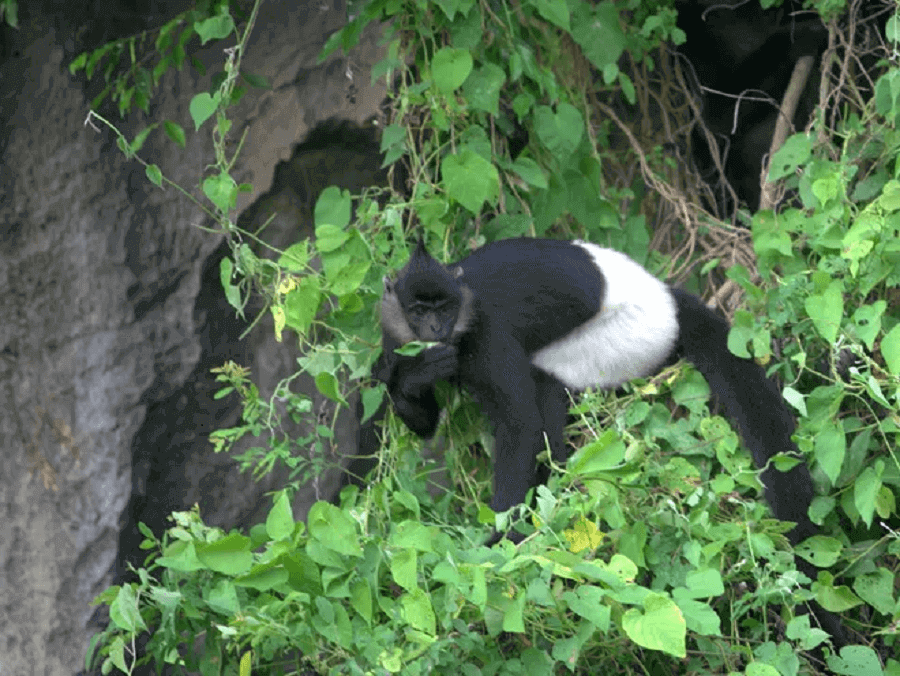 Van Long Nature Reserve Hanoilocals