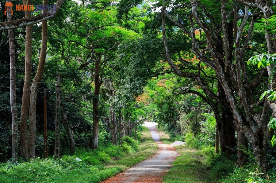 Cuc Phuong National Park Ninh Binh - Hanoi Locals Travel