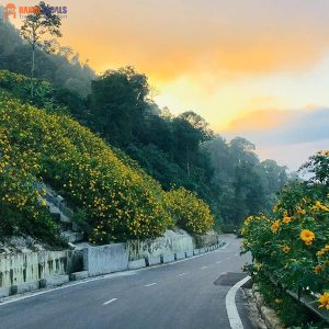 Ba Vi National Park - Hanoi Locals Travel