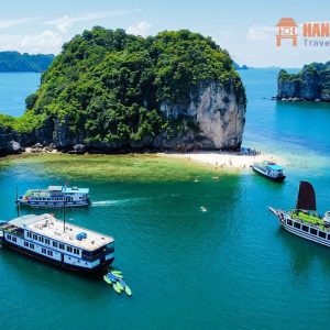 Ninh Binh To Cat Ba Island By Private Car - Hanoi Locals