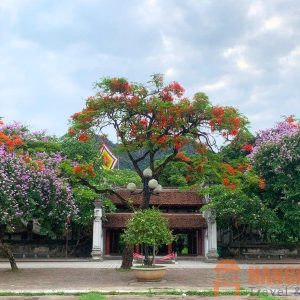 Moc Chau To Ninh Binh Private Car
