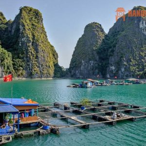 Cat Ba Island To Halong Bay By Private Car - Hanoi Locals