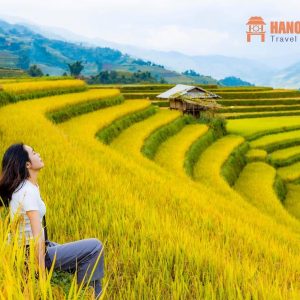 Sapa To Mu Cang Chai By Private Car Transfer - Hanoi Locals