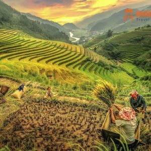 Sapa To Mu Cang Chai By Car Transfer - Hanoi Locals