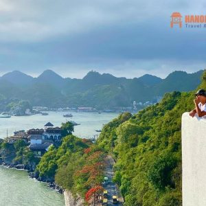 Sapa To Cat Ba Island Private Car - Hanoi Locals