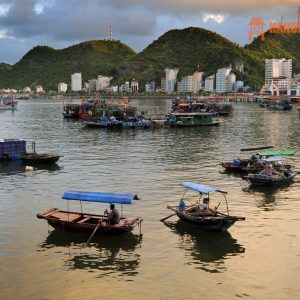 Sapa To Cat Ba Island By Private Car - Hanoi Locals