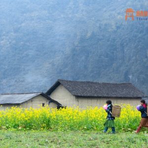 Sapa To Ha Giang By Car - Hanoi Locals