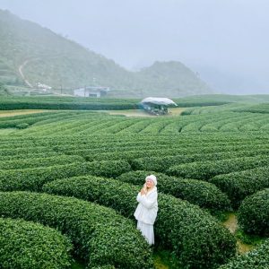 Ninh Binh To Moc Chau Private Car - Hanoi Locals