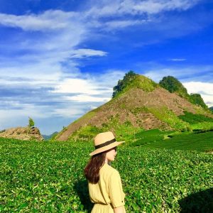 Ninh Binh To Moc Chau Private Car - Hanoi Locals