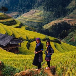 Ninh Binh To Mu Cang Chai Private Car