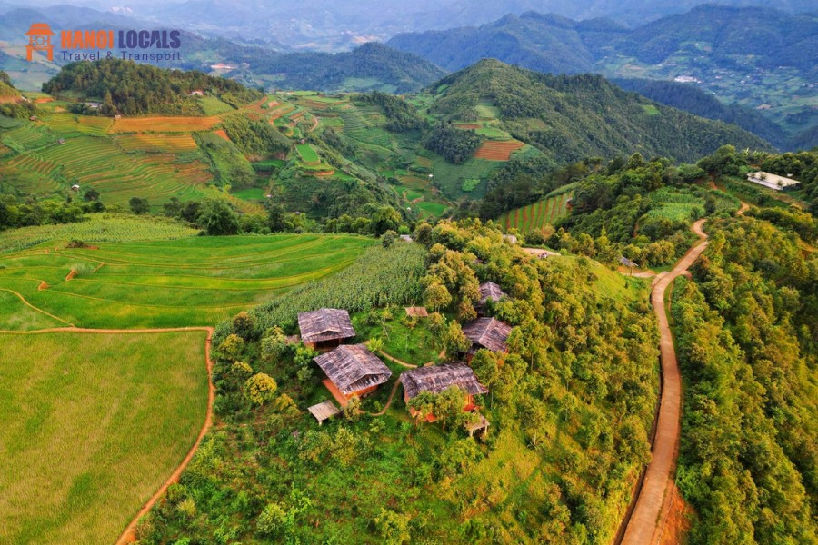 Sapa To Mu Cang Chai Luxury Car - Hanoi Locals