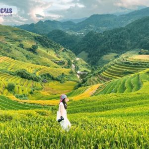 Sapa To Mu Cang Chai By Luxury Car - Hanoi Locals