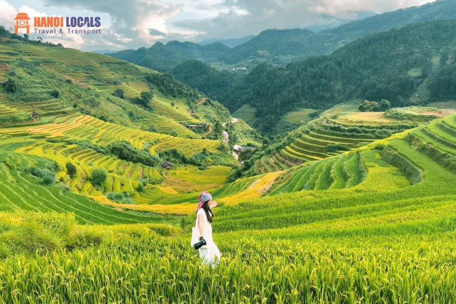 Sapa To Mu Cang Chai By Luxury Car - Hanoi Locals