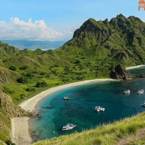 Mai Chau To Halong Bay Private Limousine - Hanoi Locals