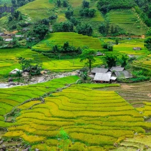 Mai Chau To Nghia Lo Car - Hanoi Locals