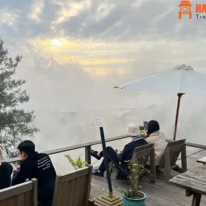 Halong Bay to Tam Dao By Private Car - Hanoi Locals