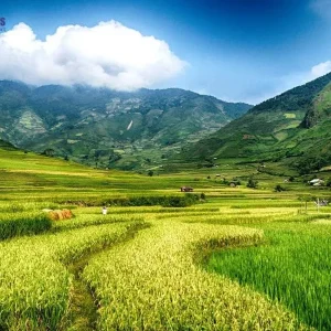 Halong Bay to Mu Cang Chai private car - Hanoi Locals