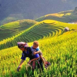 Halong Bay to Mu Cang Chai private car - Hanoi Locals
