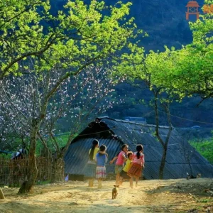 Cat Ba Island To Moc Chau By Private Car - Hanoi Locals